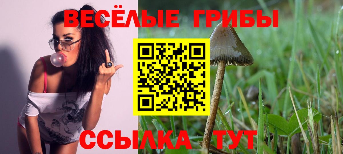Галлюциногенные грибы GOLDEN TEACHER Новоуральск